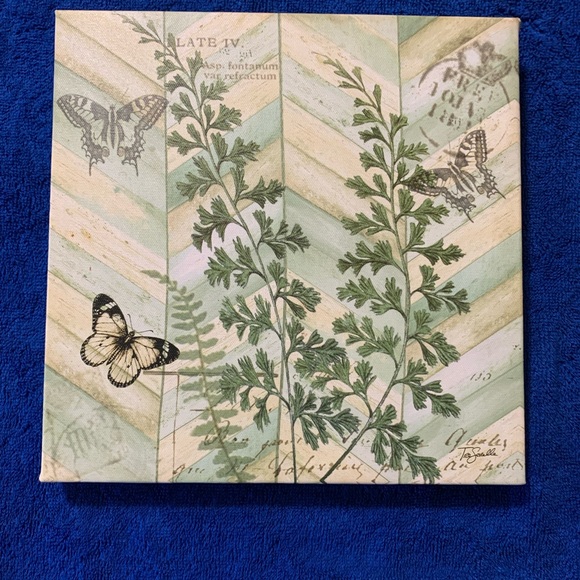 Frames - Picture 1 of 4